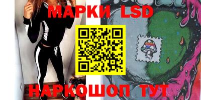 гидра Будённовск
