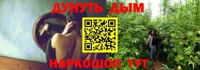 гидра Будённовск