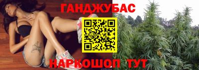 гидра Будённовск