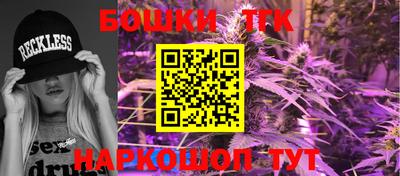гидра Будённовск