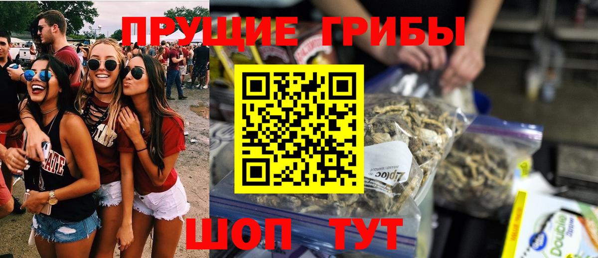 Псилоцибиновые грибы GOLDEN TEACHER  Вход с VPN  Челябинск 
